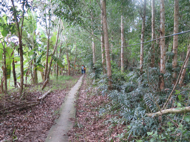 Bảo tồn và phát triển các hệ sinh thái ở Đồng bằng sông Cửu Long ảnh 1