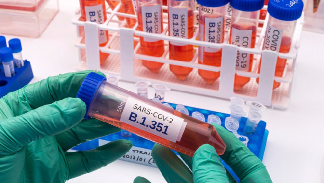 Mức độ nguy hiểm của biến thể virus SARS-CoV-2 tại Nam Phi ảnh 1