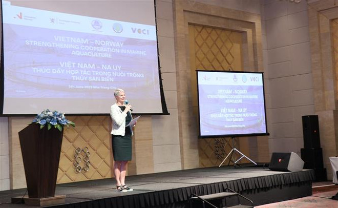 Na Uy chia sẻ kinh nghiệm, hỗ trợ Việt Nam nuôi trồng thủy sản ảnh 1