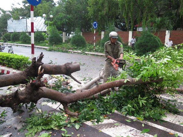 Công điện yêu cầu các địa phương chủ động đối phó bão Hagupit ảnh 1