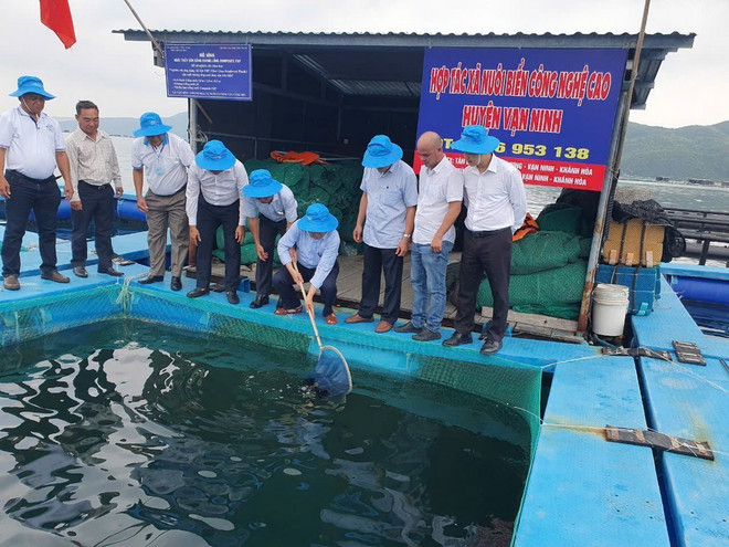 ttxvn khanh_hoa_ra_mat_htx_nuoi_bien_cong_nghe_cao_van_ninh_resize.jpg