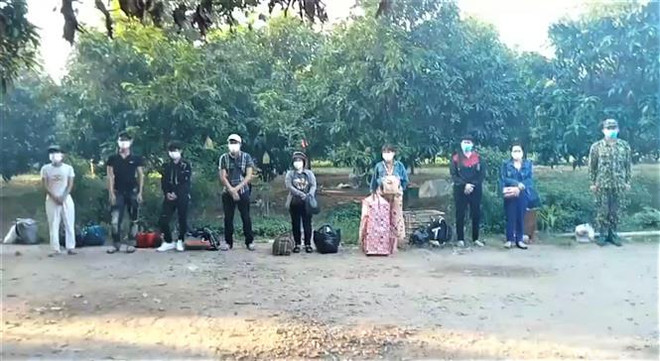 Quảng Ninh, An Giang, Điện Biên xử lý các vụ nhập cảnh trái phép ảnh 2