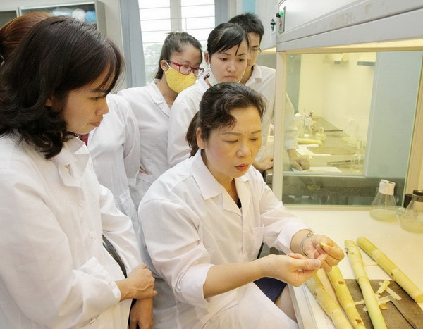 Nhân rộng những bông hoa “Giỏi việc nước-Đảm việc nhà” ảnh 1