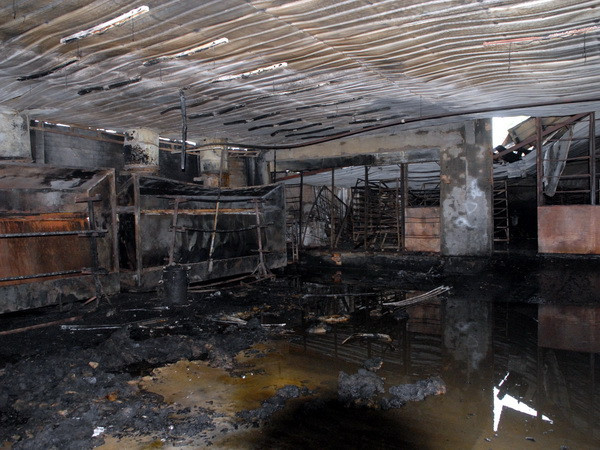 Cháy lớn tại xưởng đồ gỗ ở Bình Dương, nhiều công nhân tháo chạy ảnh 1