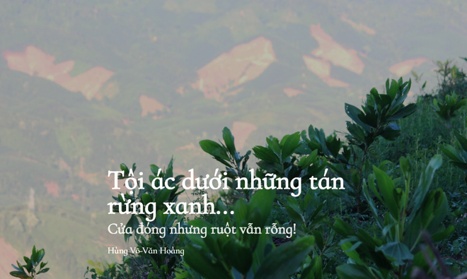 Lời kêu cứu tuyệt vọng của đại ngàn rơi vào im lặng và lãng quên ảnh 2