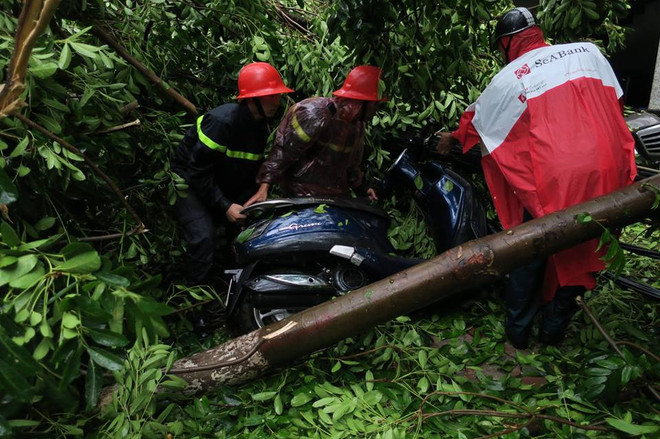 Hà Nội: Mưa lớn, cây cổ thụ bật gốc, "hạ gục" 2 ôtô và 6 xe máy ảnh 6
