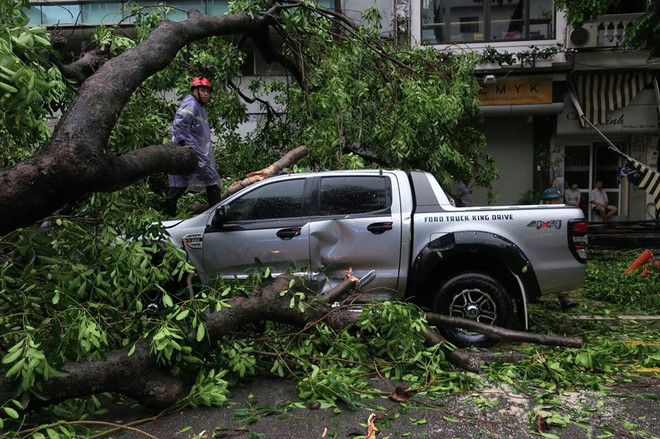 Hà Nội: Mưa lớn, cây cổ thụ bật gốc, "hạ gục" 2 ôtô và 6 xe máy ảnh 4