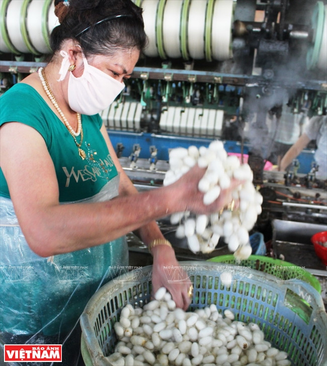 Tìm hiểu quá trình ươm tơ, dệt lụa trên cao nguyên Lâm Đồng ảnh 7