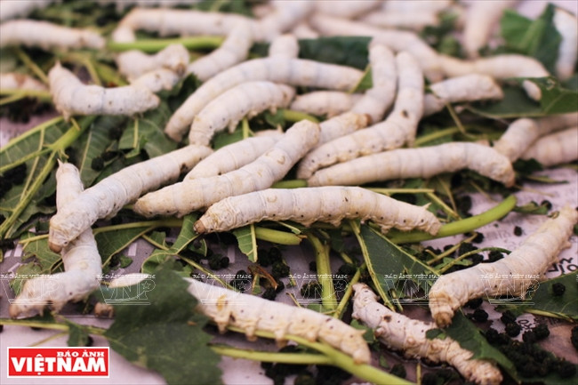 Tìm hiểu quá trình ươm tơ, dệt lụa trên cao nguyên Lâm Đồng ảnh 3