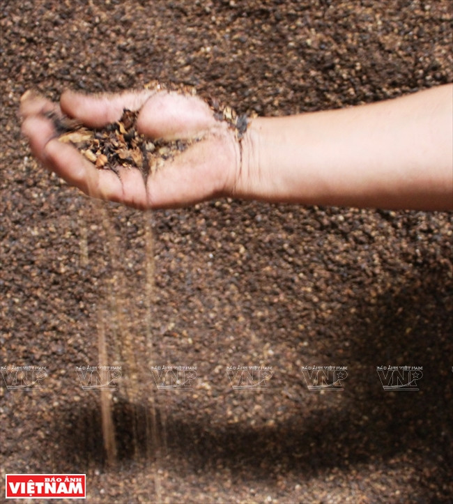 Tìm hiểu quá trình ươm tơ, dệt lụa trên cao nguyên Lâm Đồng ảnh 4