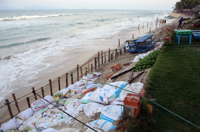 Nhiều bãi biển tuyệt đẹp của Quảng Nam có nguy cơ bị xóa sổ ảnh 2