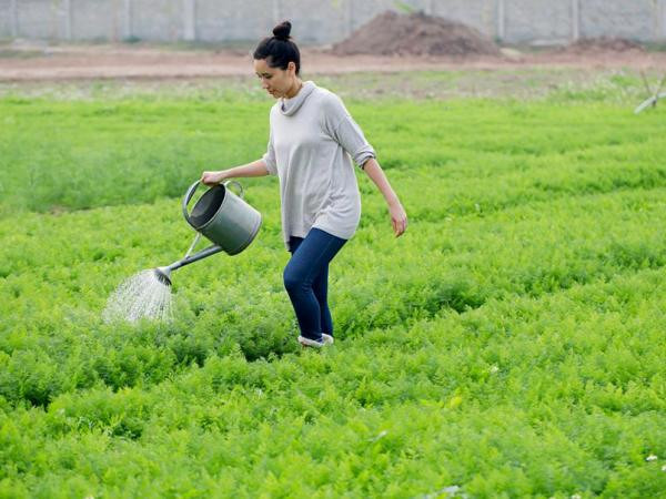 Đào Chi Anh: Cô “phù thủy" khả ái và “cái bắt tay” 5,5 triệu USD ảnh 1