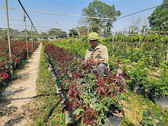 Bắc Bộ sáng sớm có sương mù nhẹ, trời rét vào đêm và sáng ảnh 1