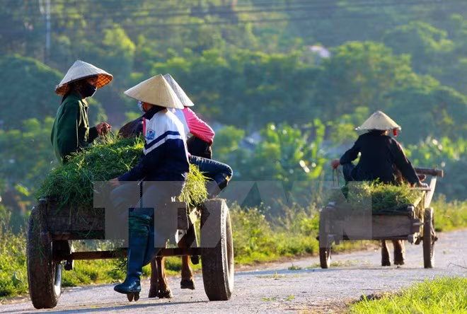 Tăng sự lãnh đạo của Đảng với vận động xây dựng nông thôn mới ảnh 1