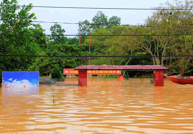 Ảnh minh họa. (Nguồn: TTXVN) Thủ tướng khen các cô giáo ở Phú Yên bảo vệ an toàn cho học sinh ảnh 1