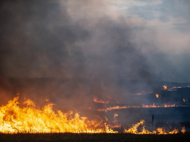 [Photo] Máy bay chiến đấu của Ukraine bị rơi ở miền Đông ảnh 3