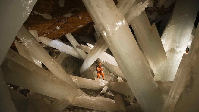 Sự kiện quốc tế 20-26/2: Xác định được chất độc giết Kim Jong-nam ảnh 4