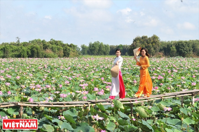 Đến Đồng Sen Gò Tháp thưởng thức hương vị và ẩm thực miệt vườn ảnh 9