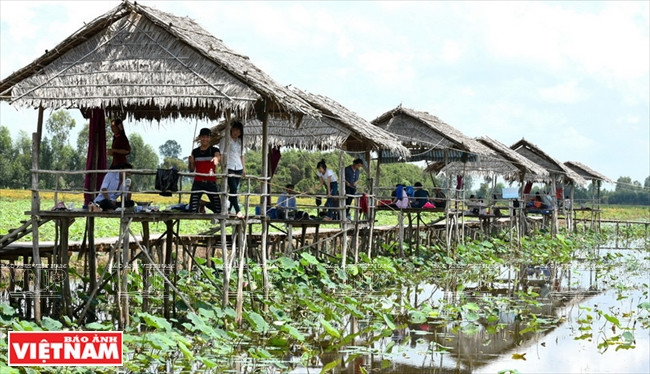 Đến Đồng Sen Gò Tháp thưởng thức hương vị và ẩm thực miệt vườn ảnh 10