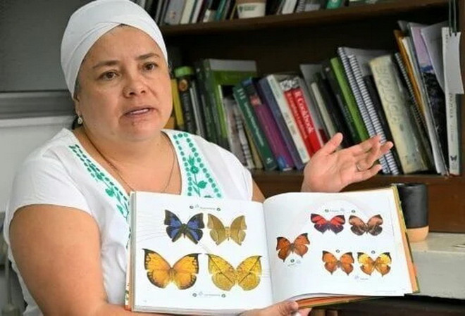 Nhà sinh vật học Maria Fernanda Checa. (Nguồn: kulr8) loai_buom_Amazon_2204_2.jpg