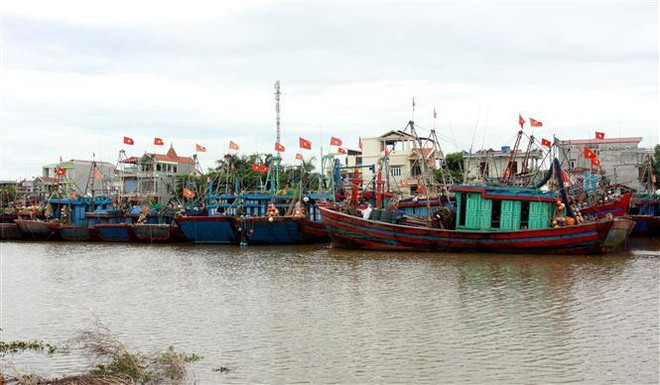 Các địa phương khẩn trương triển khai ứng phó với bão số 3 ảnh 1