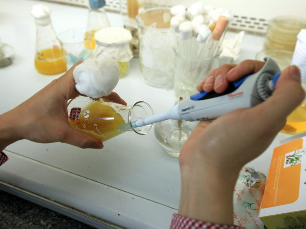 Nâng cấp Trung tâm Chiếu xạ Hà Nội phục vụ kiểm dịch hoa quả ảnh 1