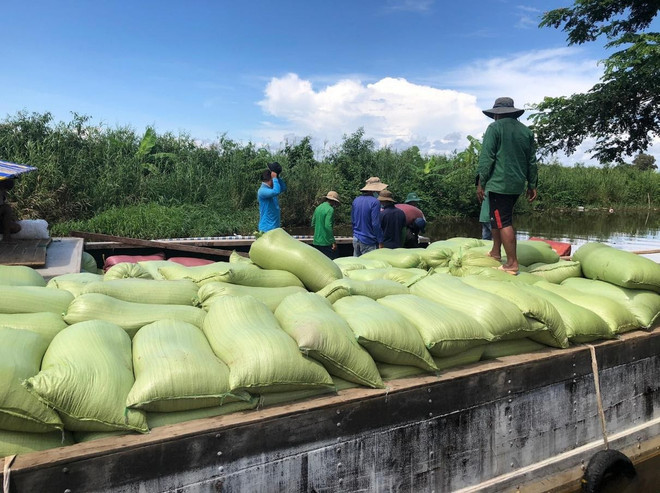 Doanh nghiệp Việt dồn toàn lực thay đổi để vượt “bão COVID-19” ảnh 2