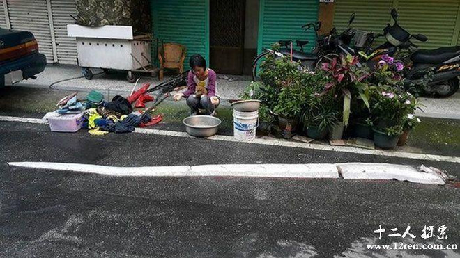 Ngư dân bất ngờ phát hiện ra "con thủy quái" dài tới 5 mét ảnh 1