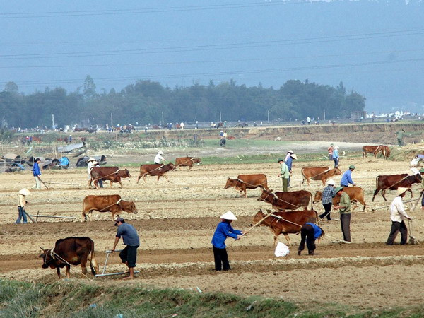 Đông Bắc Bộ hửng nắng, Nam Bộ tiếp tục khô nóng ảnh 1