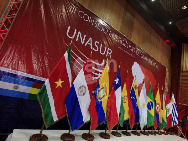 UNASUR cam kết giúp Venezuela ổn định trong nước ảnh 1