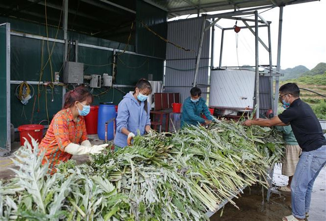 Thúc đẩy vai trò của Quốc hội trong triển khai các SDG ở Việt Nam ảnh 1