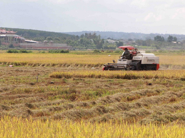 Tạm giữ đối tượng thu tiền “bảo kê” máy gặt trên đồng ảnh 1