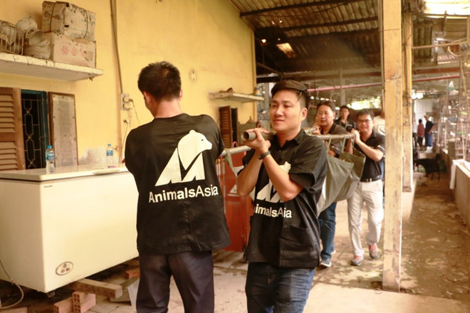 Cứu hộ 5 cá thể gấu ngựa sau 20 năm bị nuôi nhốt tại Mỹ Tho ảnh 4