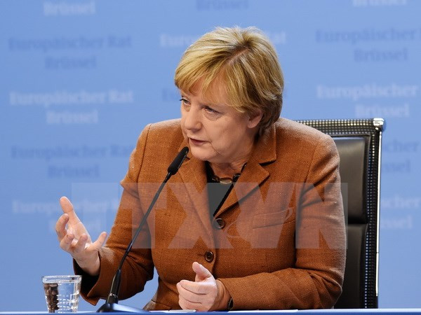 Đức: Đảng AfD kiện Thủ tướng Merkel về chính sách nhập cư ảnh 1