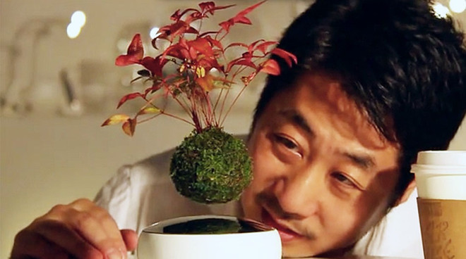 Nhật Bản gây sửng sốt với phát minh cây bonsai biết bay ảnh 1