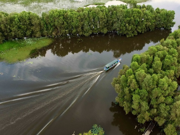 Trải nghiệm du lịch xanh trên "đất sen hồng" Đồng Tháp ảnh 1