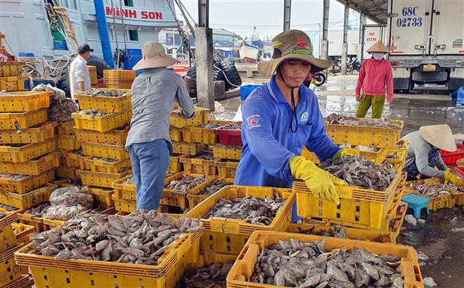 Gỡ “thẻ vàng” EC bền vững: Bảo vệ môi trường, tăng nuôi biển ảnh 2