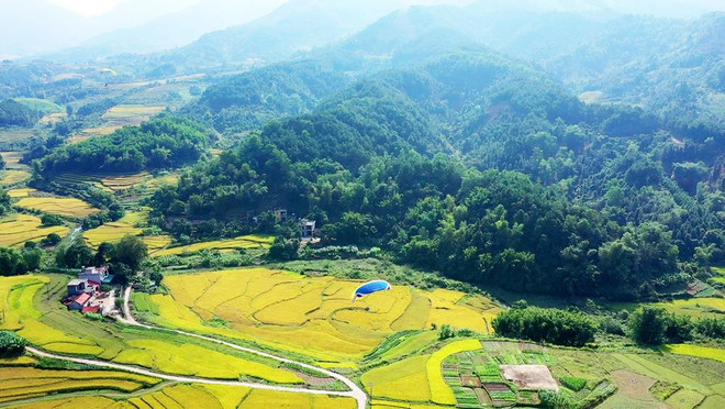 Ruộng bậc thang ở xã Lục Hồn được công nhận là Di tích-Danh thắng cấp tỉnh (Nguồn ảnh: baoquangninh) Quảng Ninh: Khám phá vùng đất hoang sơ vùng biên Bình Liêu ảnh 1