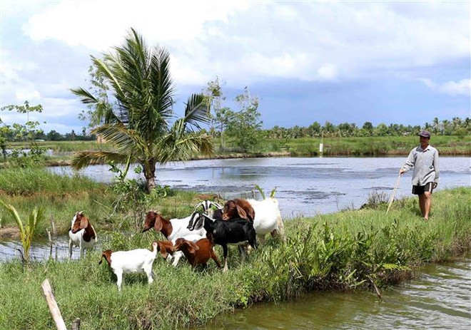 Chương trình Xây dựng nông thôn mới về đích trước mục tiêu ảnh 1