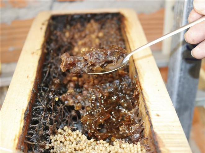 Tác động của việc Hoa Kỳ áp thuế chống phá giá với mật ong Việt Nam ảnh 1