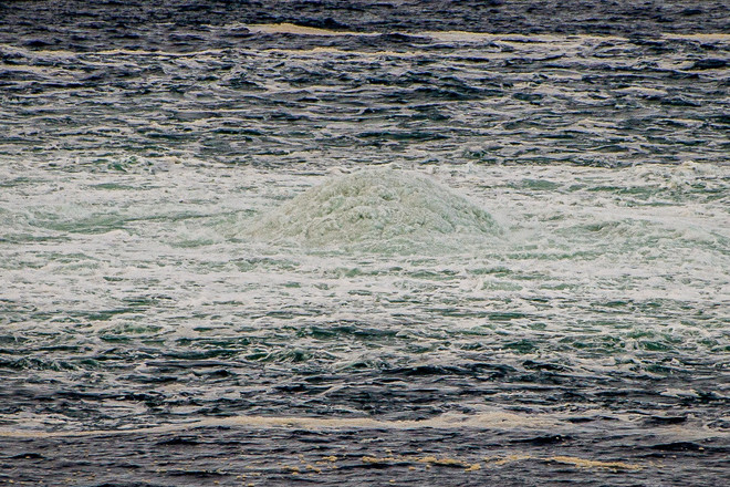 Khí methane rò rỉ từ sự cố Dòng chảy phương Bắc ít hơn so với lo ngại ảnh 1