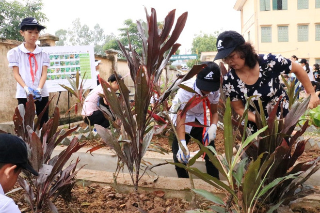 Học sinh Hà Nội trồng các cây thảo dược thay thế mật gấu ảnh 3