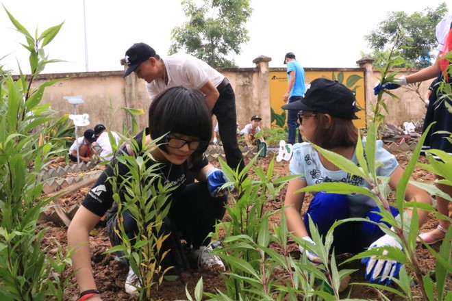 Học sinh Hà Nội trồng các cây thảo dược thay thế mật gấu ảnh 5