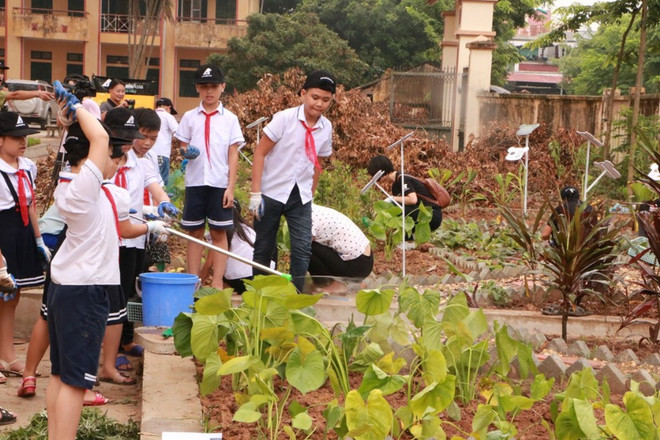 Học sinh Hà Nội trồng các cây thảo dược thay thế mật gấu ảnh 4