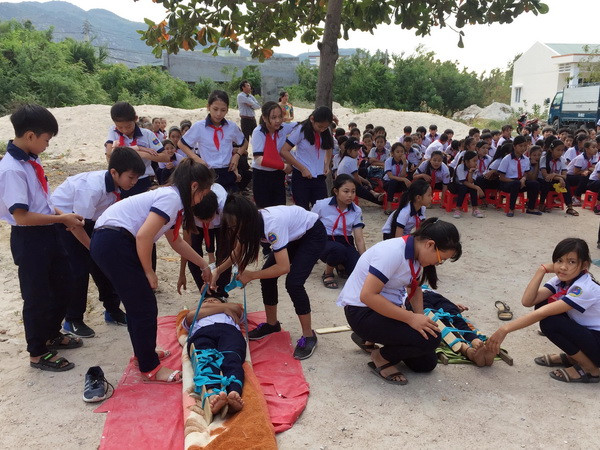 Tiếp tục làm sâu sắc hơn nữa quan hệ hợp tác giữa Việt Nam và UNDP ảnh 1