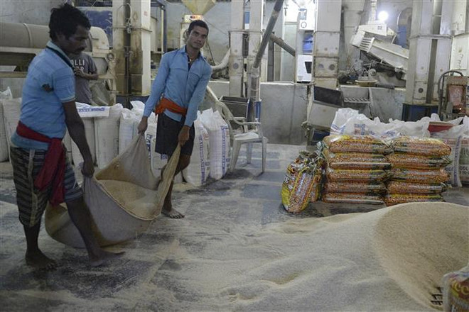 Công nhân làm việc tại một nhà máy xay xát gạo ở Hyderabad, Ấn Độ. (Ảnh: AFP/TTXVN) Lo ngại tăng lạm phát, IMF kêu gọi Ấn Độ dỡ bỏ lệnh cấm xuất khẩu gạo ảnh 1