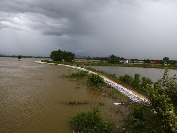 Đà Nẵng đến Bình Thuận có mưa lớn diện rộng trong ba ngày 6-8/8 ảnh 1