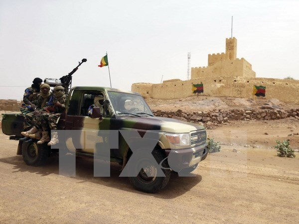 Nhóm trung gian hòa giải yêu cầu nhóm vũ trang rút quân khỏi Mali ảnh 1