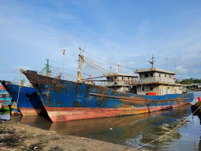 Nhiều khoản vay đóng tàu ở Bà Rịa-Vũng Tàu có nguy cơ rơi vào nợ xấu ảnh 1