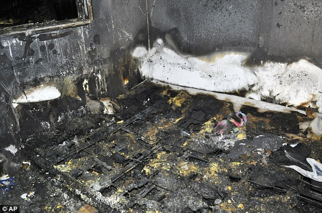 Chú chó dũng cảm hy sinh tính mạng để bảo vệ cậu chủ nhỏ ảnh 1